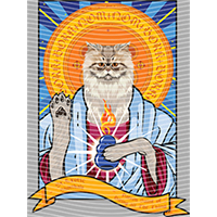 Animal Integration-DW 1048